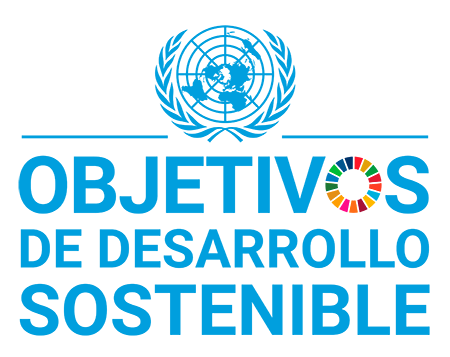 Objetivos desarrollo